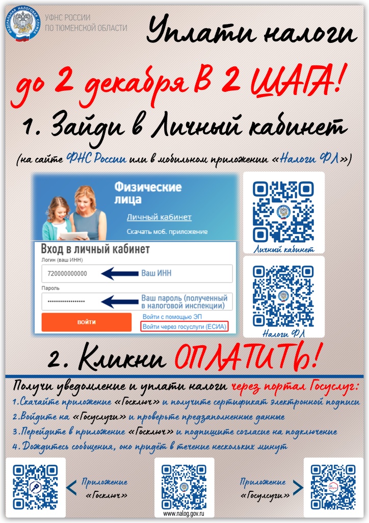 изображение_viber_2024-11-12_12-36-33-791.jpg